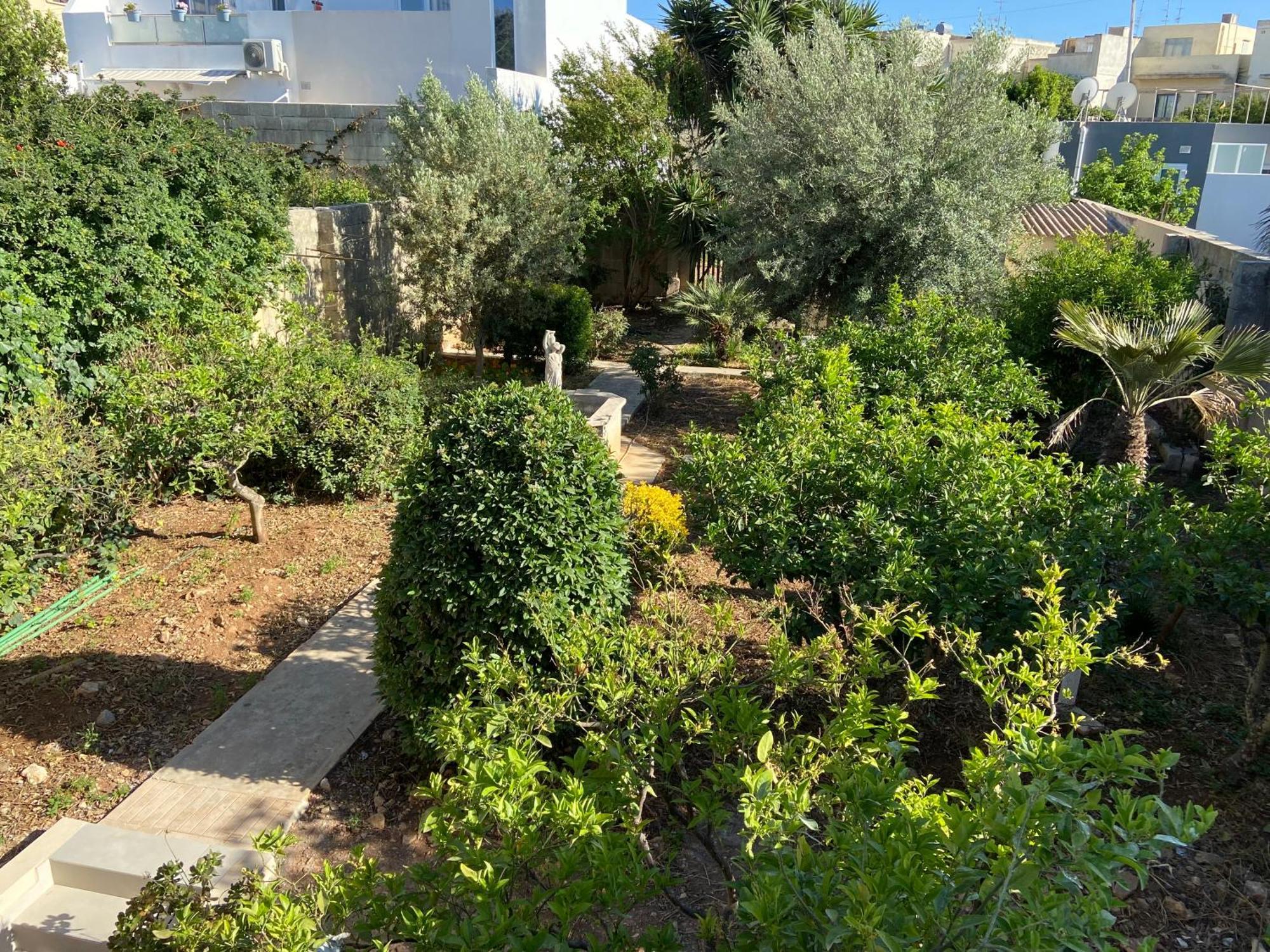 Maltese Garden Villa Mosta Dış mekan fotoğraf